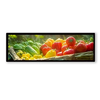 28 .6 Dyuym LCD bar ekrandagi ikki marta ekran ishlab chiqaruvchisi