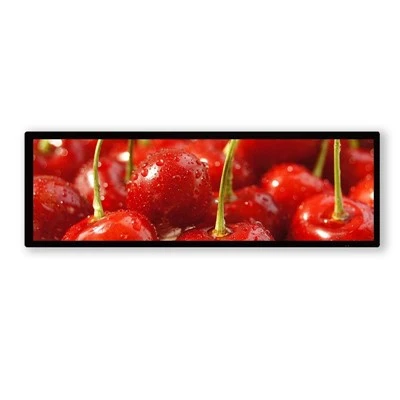28 dyuymli LCD bar ekranlarini ikki marta ekran ishlab chiqaruvchisi